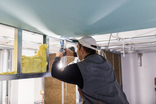 Best Insulation Maintenance and Repair in Smoke Rise, AL
